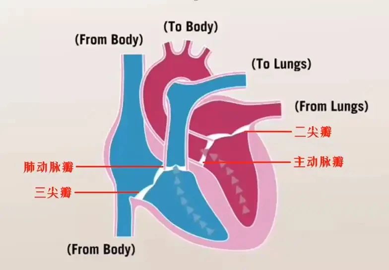 2a49deab-2ee0-4f42-a500-0e9b54eddb52.jpg 2a49deab-2ee0-4f42-a500-0e9b54eddb52.jpg